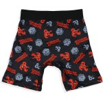 INTIMO Dungeons and Dragons Herren-Boxershorts mit D20-Würfel- und D&D-Logo für Erwachsene, lange Beinunterwäsche INTIMO Dungeons and Dragons Herren-Boxershorts mit D20-Würfel- und D&D-Logo für Erwachsene, lange Beinunterwäsche